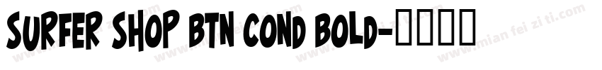 Surfer Shop BTN Cond Bold字体转换